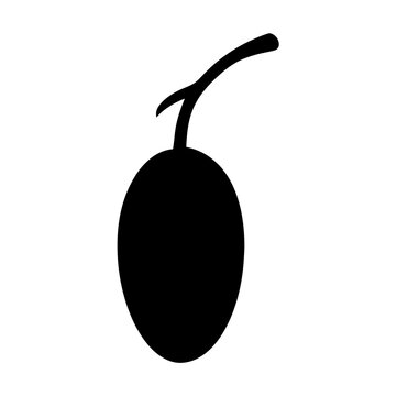 recommend clip art: hog plum fruit minimalist silhouette vector icon - for graphic design projects hog plum, Modern Artwork.