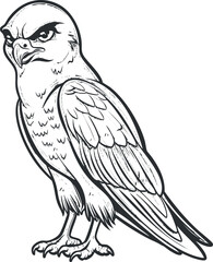 A detailed black and white illustration of a fierce falcon with sharp features and wings.