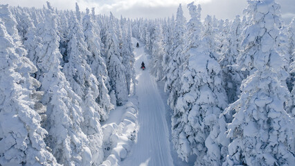 Aerial view of snowmobiles on a trail through the snow-covered boreal forest forming snow ghosts on a cold winter day