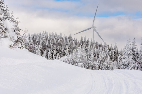 Ice-covered wind turbine set in a snowy forest on a beautiful winter day