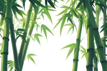 Obraz premium Bamboo Stalk and Leaf Art