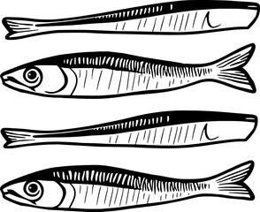 Collection Of Four Detailed Line Drawings Of Small Fish