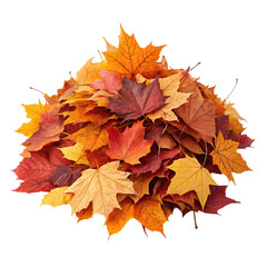 Fototapeta premium Pile of autumn colored leaves png fall leaves png leaf pile png seasonal foliage png autumn colors png transparent background image