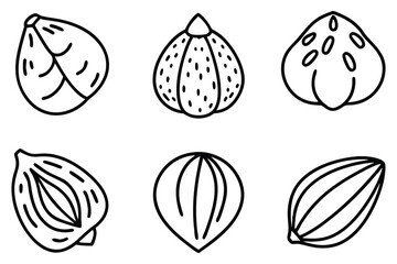 hazel tree collection