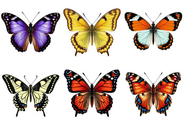 Colorful butterflies, insect collection, nature design, for websites