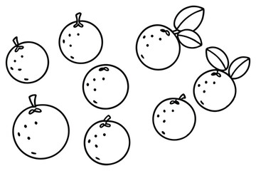 ironclad voyager multiple designs