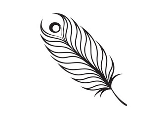 Obraz premium Peacock Feather silhouette vector