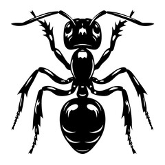 High Contrast Black and White Ant Illustration with Detailed Anatomy Depiction