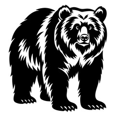 Powerful bear in a black and white vector illustration standing strong