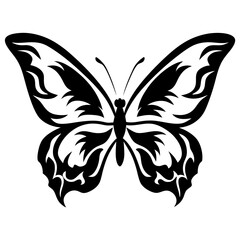 Elegant butterfly illustration with intricate black and white wing patterns design