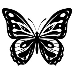 Butterfly with intricate black and white pattern showcasing a beautiful design