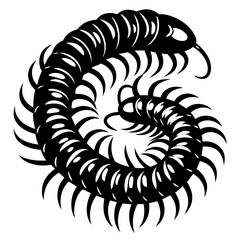 Stylized Vector Illustration of a Coiled Centipede with Numerous Legs and Body Segments