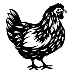 Monochrome illustration of a hen with intricate feather detailing in black and white