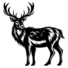 Elegant black and white illustration of a majestic deer with impressive antlers