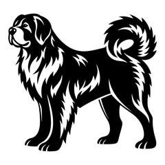 Black and White Illustration of a Majestic Tibetan Mastiff Dog