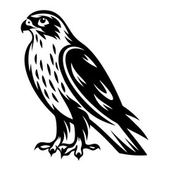 Fototapeta premium Majestic Falcon Illustration in Black and White, Perfect for Graphic Design