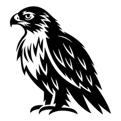 Striking black and white vector illustration of a majestic bird of prey