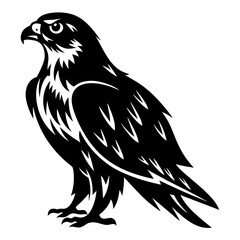 Majestic Falcon in Silhouette with Sharp Feathers and Intense Gaze