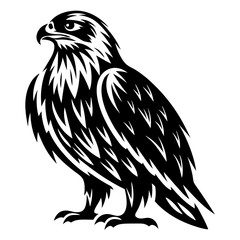 Stylized Black and White Eagle Illustration with Detailed Feather Texture