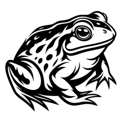 Stylized Frog in Black and White with Bold Outlines and Markings