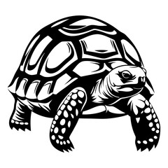 Stylized monochrome tortoise illustration exhibiting a hard shell and textured feet