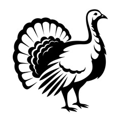 Elegant monochrome illustration of a proud turkey with intricate feather details