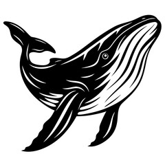 Monochrome graphic illustration of a graceful humpback whale swimming upwards motion