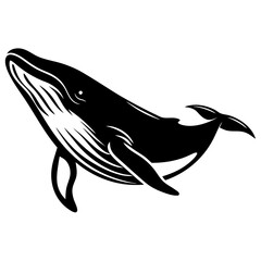 Obraz premium Monochromatic majestic humpback whale gracefully swimming in the deep blue ocean