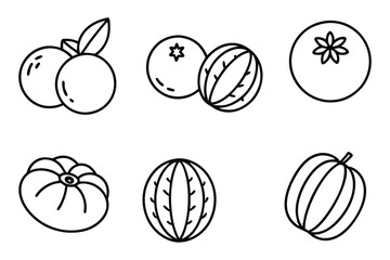 varieties of jujube fruit collection