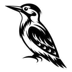 A striking black and white vector illustration of a stylized woodpecker