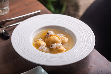 Savory dumpling soup with rich broth and tender ingredients showcasing culinary artistry and comfort food concept