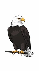 Obraz premium Detailed Portrait of an American Icon: Bald Eagle Illustration Highlighting National Pride 