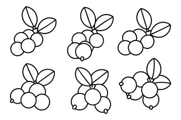 lingonberry fruit set for healthy living