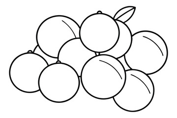 lingonberry fresh fruit types