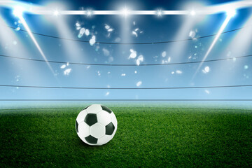 Soccer ball on green grass at football stadium, space for text