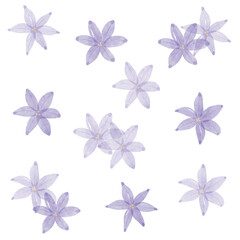 紫の花の手描き水彩画イラストセットベクター