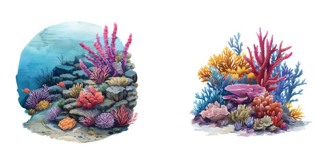 great barrier reef watercolor vector illustratio © Dar