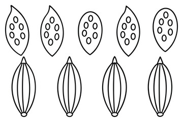 diverse moonshadow shapes