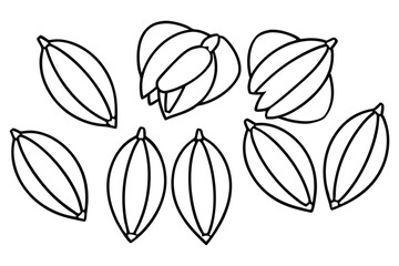 moringa pod creative set