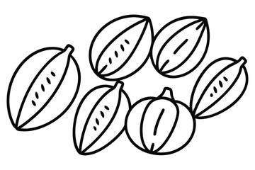 moringa pod botanical collection