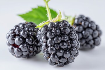 High quality studio photo of a fresh blackberry with dew drops, isolated on white background, ideal for culinary or nutrition concepts.