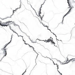 Obraz premium 하얀 대리석 회색 검은 무늬