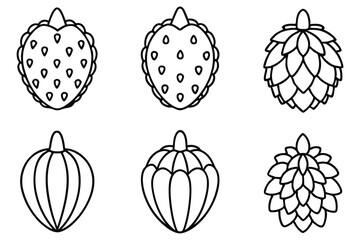 noni plant variety set