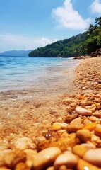 The clear blue sea is visible from the top of the coral reef