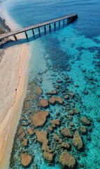 The clear blue sea is visible from the top of the coral reef