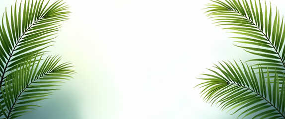Collection Green palm leaves on isolated transparent background. Tropical plant concept. concept as Collection of green palm leaves isolated on transparent background emphasizing tropical plant concep