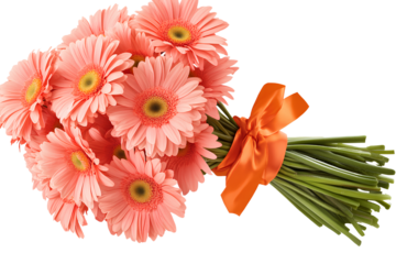 Bouquet of Gerbera Daisies with an orange knee-length ribbon wrapped around the bouquet, isolated on a transparent background