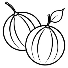 Gooseberry Fruit Illustration Vector Art