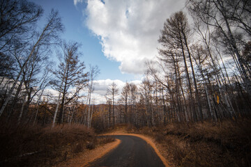 The scenery of Bailang Peak in Arshan, Inner Mongolia, China
