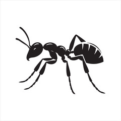 Ants and Germs Illustration: Depicting Insect and Microbe Interaction
